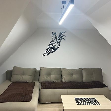 Family Apartmans Harry- Apartmans Of The Apart Hotel & Spa Zoned, Kopaonik - Special Benefit, Children Up To 13 Years Of Age Accompanied By Two Adults Stay For Free-Parking-Breakfast-Pool&Spa Kültér fotó